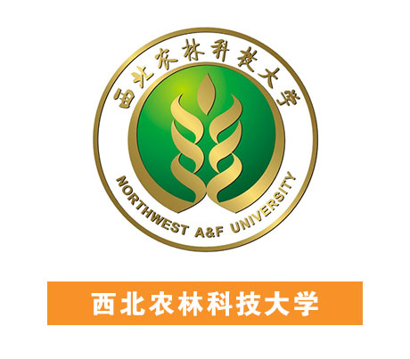 威廉希尔·williamhill(中国)中文官方网站